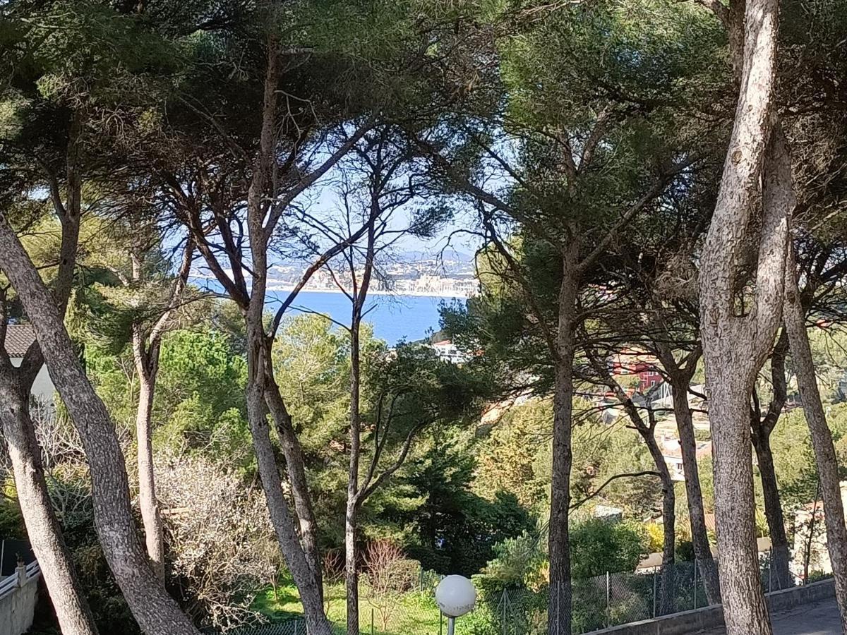 Appartement T2 Sanary Sur Mer Bagian luar foto